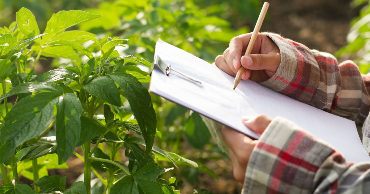 Onde fazer cursos EAD gratuitos no Agro