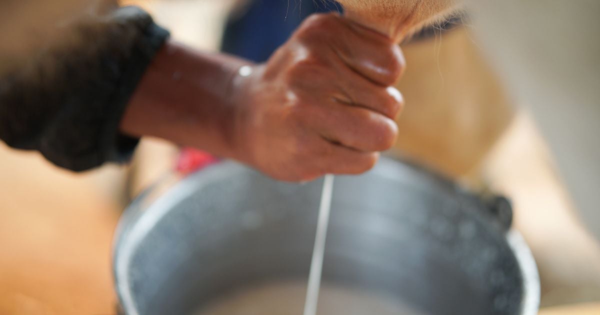Senhor do Bonfim sedia Seminário de Pecuária de Leite e destaca papel do campo no desenvolvimento regional